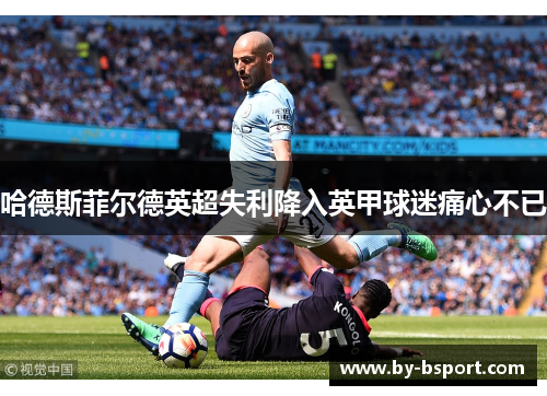 哈德斯菲尔德英超失利降入英甲球迷痛心不已